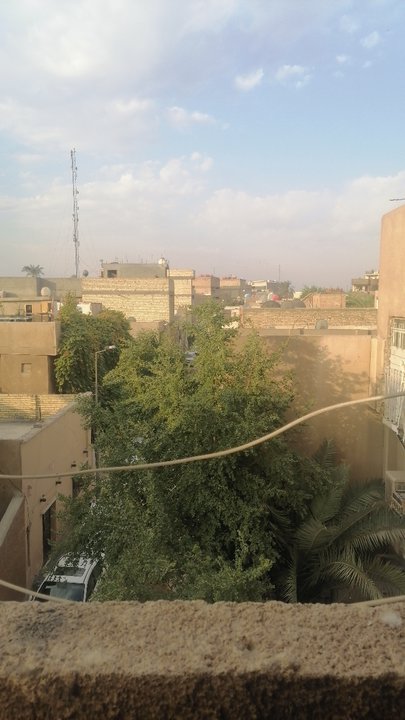 مشاركاتي في أنت الراصد