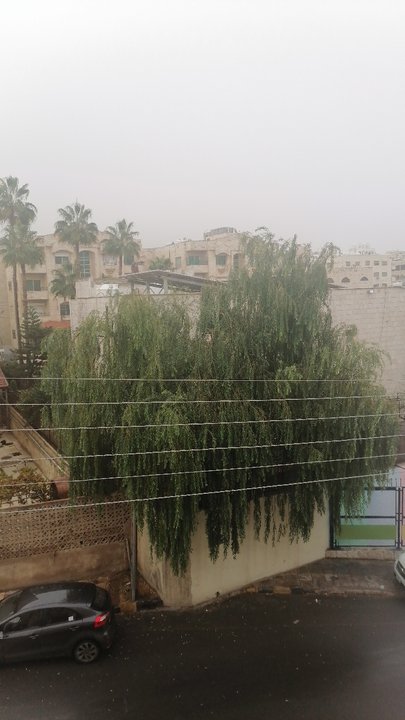 مشاركاتي في أنت الراصد