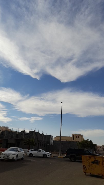 مشاركاتي في أنت الراصد