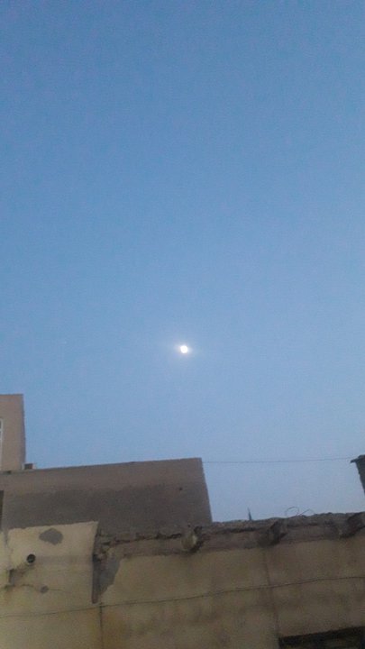 مشاركاتي في أنت الراصد