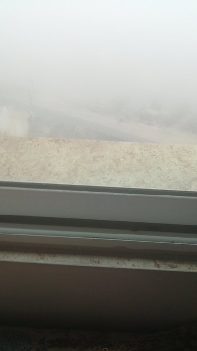 مشاركاتي في أنت الراصد