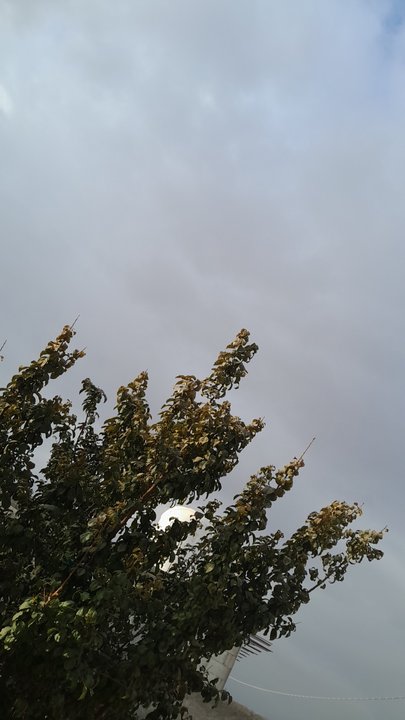 My Crowdsourcing Posts