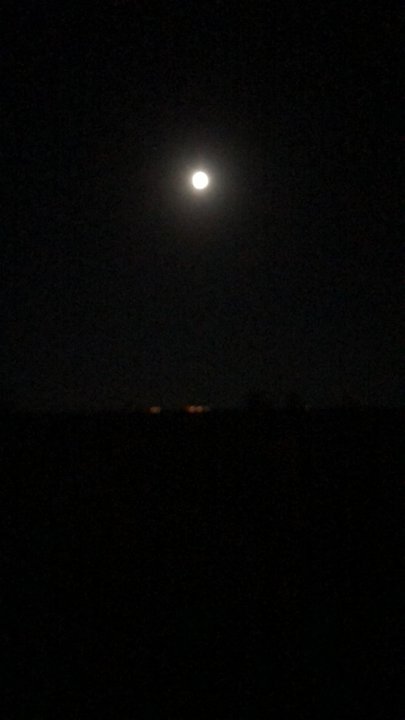 My Crowdsourcing Posts