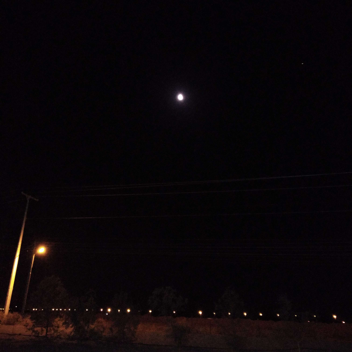 مشاركاتي في أنت الراصد