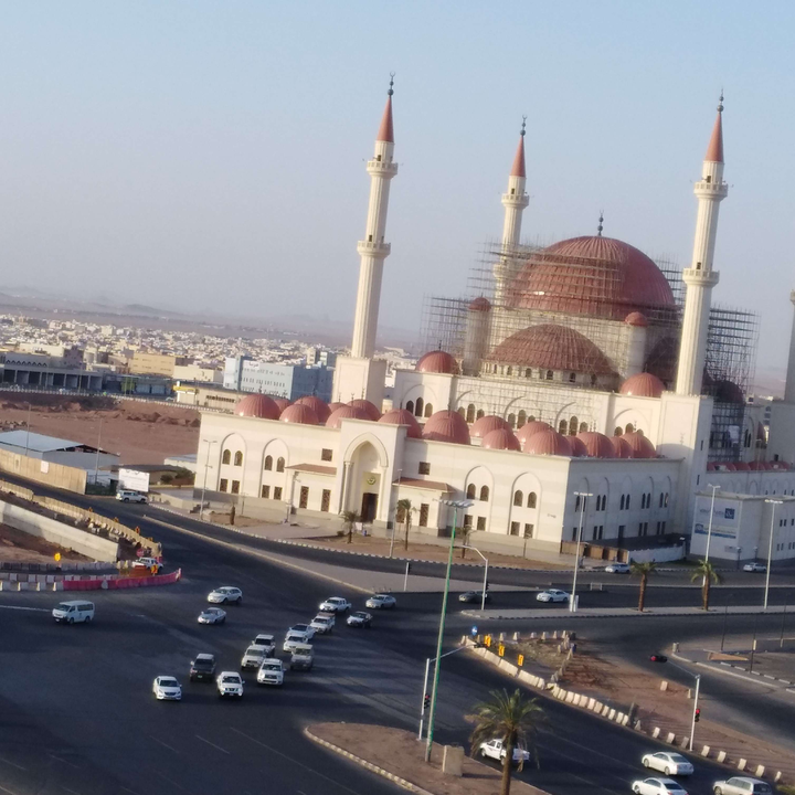 مشاركاتي في أنت الراصد