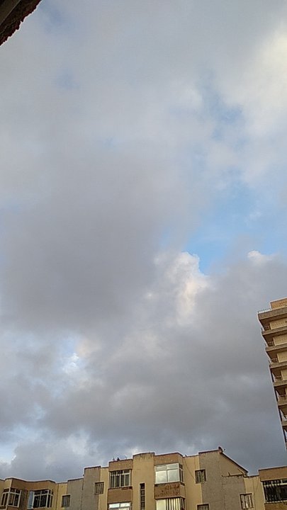 مشاركاتي في أنت الراصد