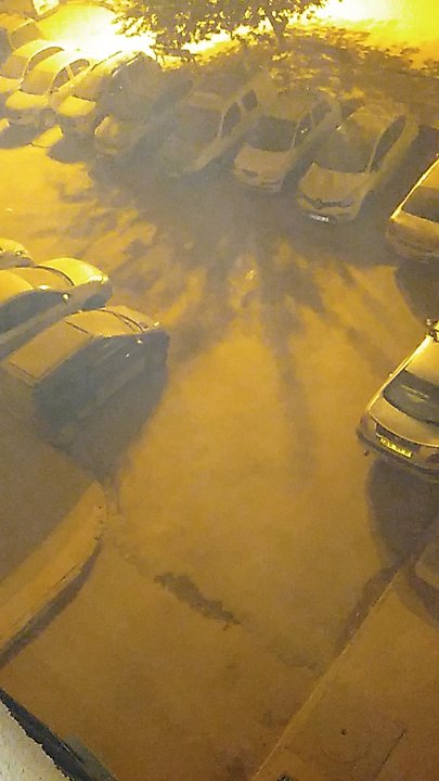 مشاركاتي في أنت الراصد