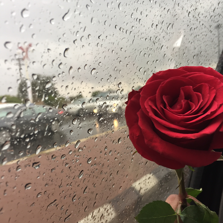 My Crowdsourcing Posts