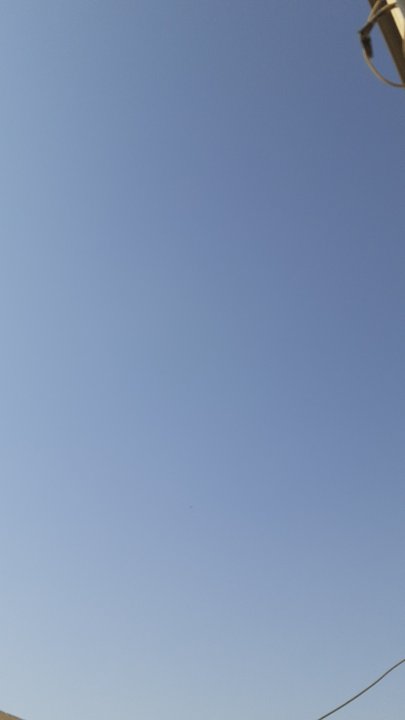 مشاركاتي في أنت الراصد