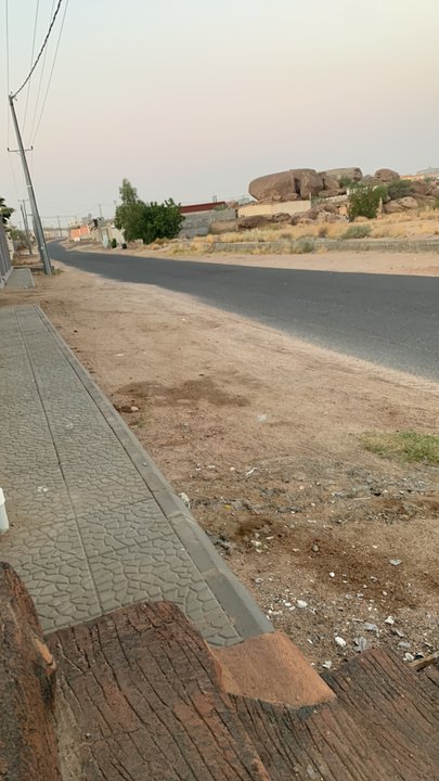 مشاركاتي في أنت الراصد