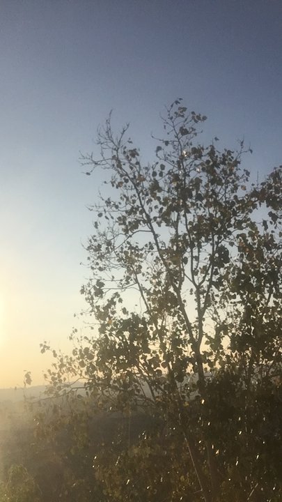 Mes publications Crowdsourcing