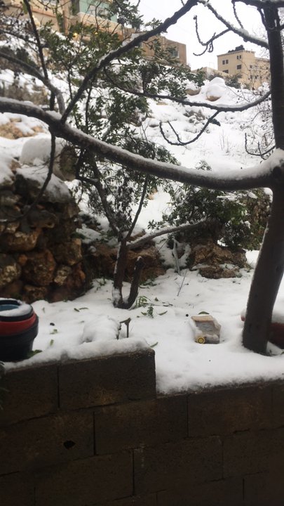 Mes publications Crowdsourcing