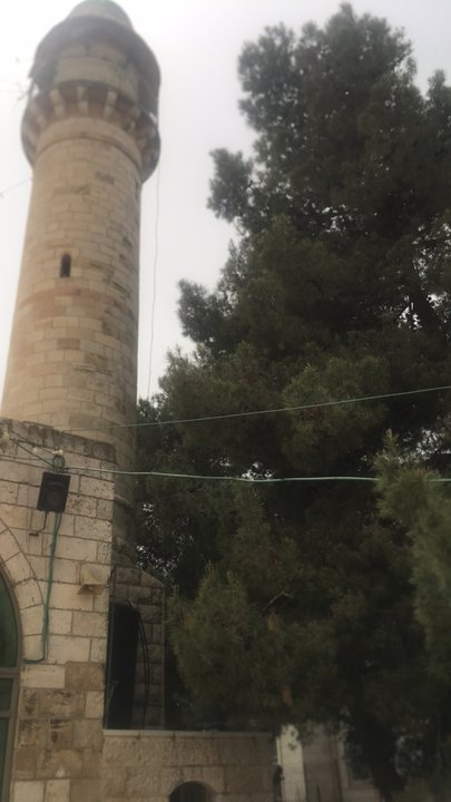 Mes publications Crowdsourcing