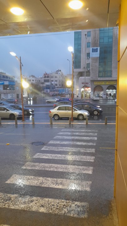 مشاركاتي في أنت الراصد