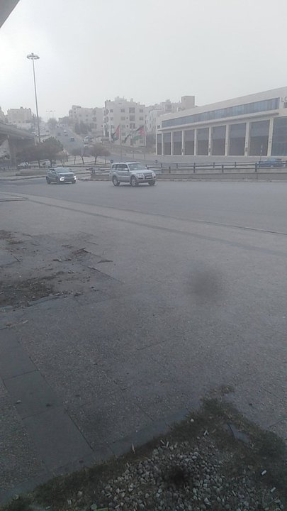 مشاركاتي في أنت الراصد