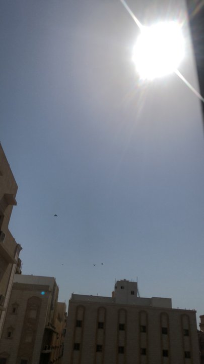 مشاركاتي في أنت الراصد