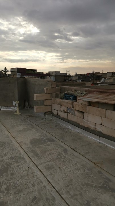 مشاركاتي في أنت الراصد