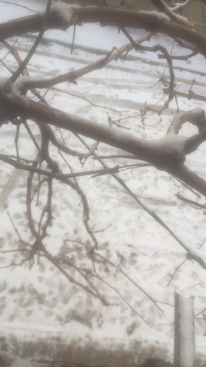 My Crowdsourcing Posts