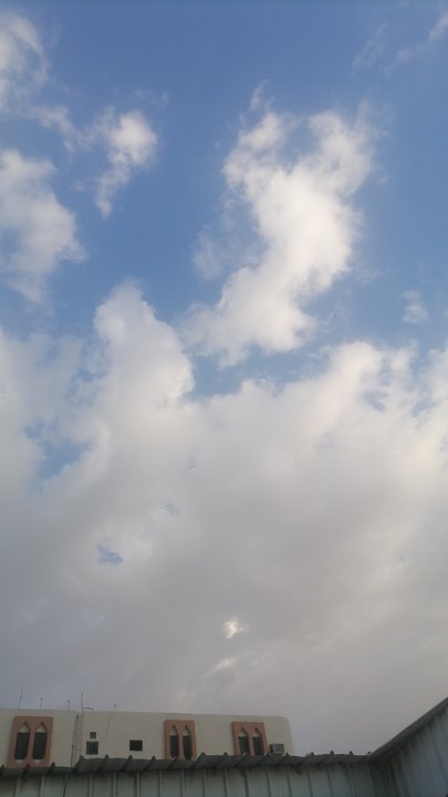 مشاركاتي في أنت الراصد