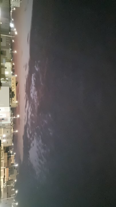 مشاركاتي في أنت الراصد