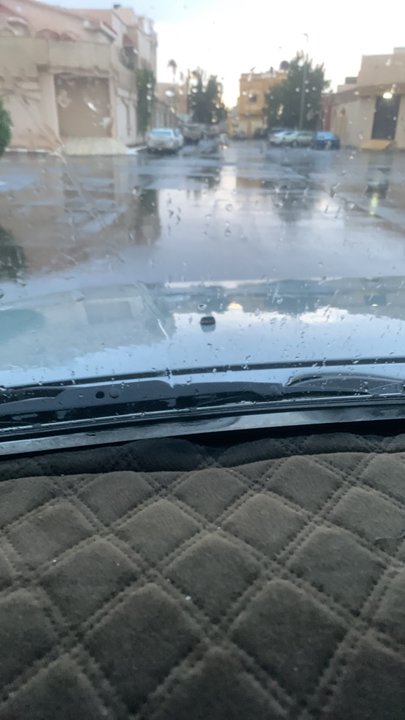 مشاركاتي في أنت الراصد