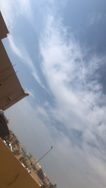 مشاركاتي في أنت الراصد