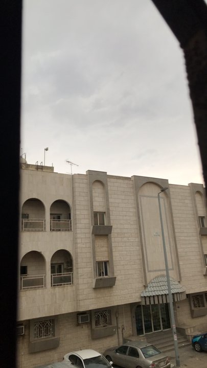 مشاركاتي في أنت الراصد