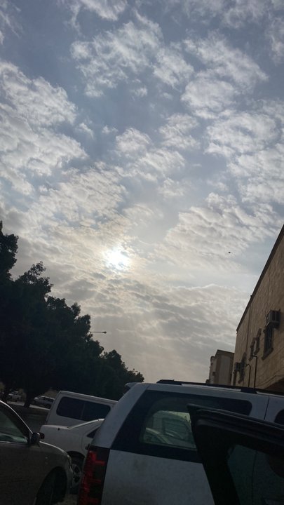 مشاركاتي في أنت الراصد