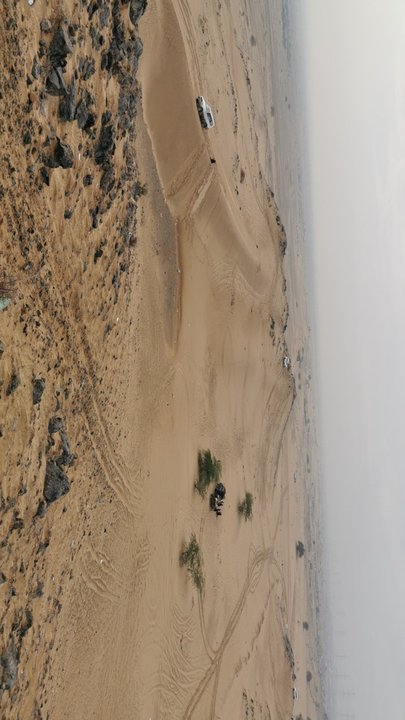 مشاركاتي في أنت الراصد