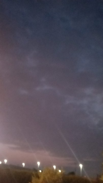 مشاركاتي في أنت الراصد