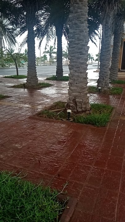 مشاركاتي في أنت الراصد