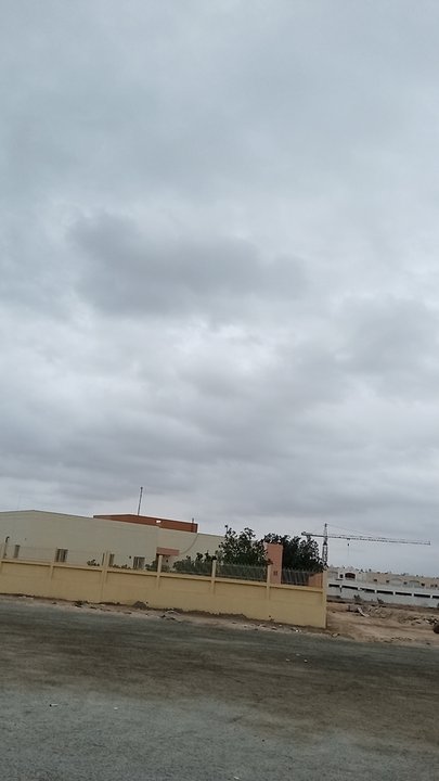 مشاركاتي في أنت الراصد