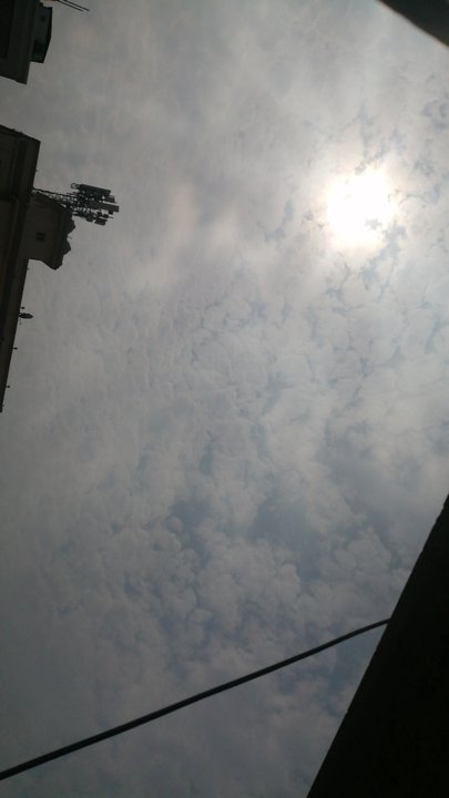 مشاركاتي في أنت الراصد