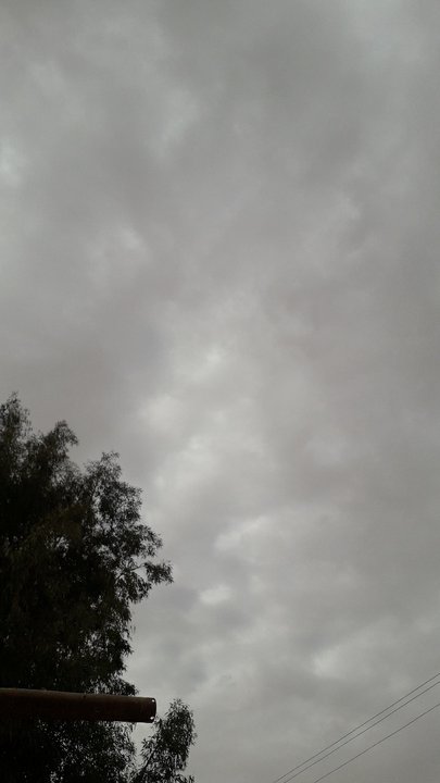 مشاركاتي في أنت الراصد