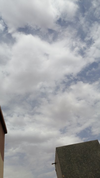 مشاركاتي في أنت الراصد