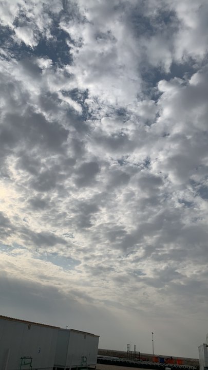 مشاركاتي في أنت الراصد