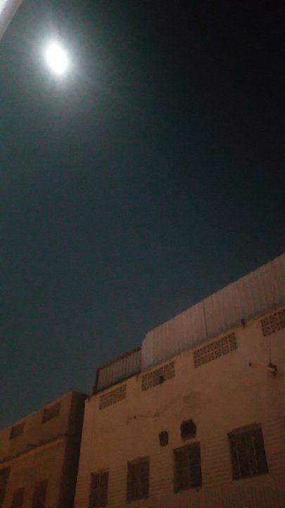 مشاركاتي في أنت الراصد