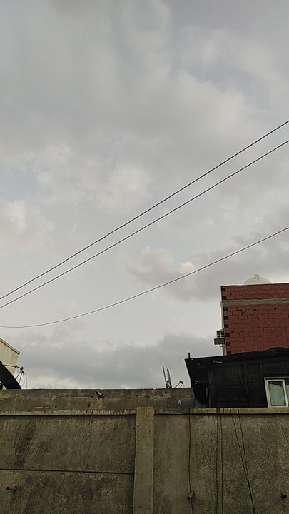 مشاركاتي في أنت الراصد