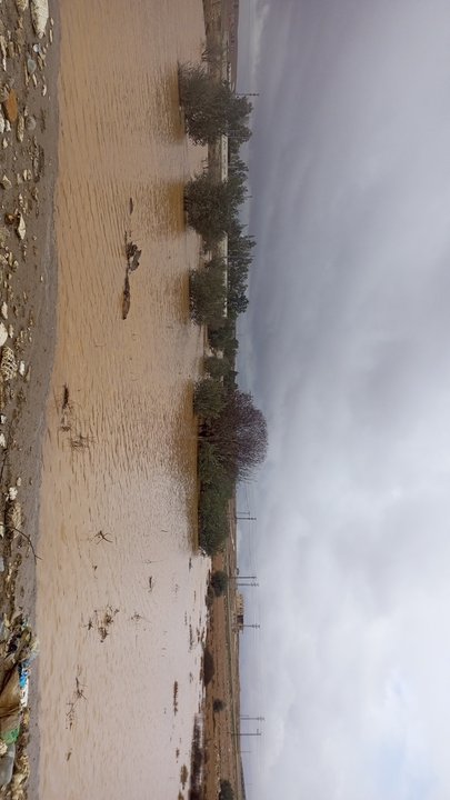 مشاركاتي في أنت الراصد