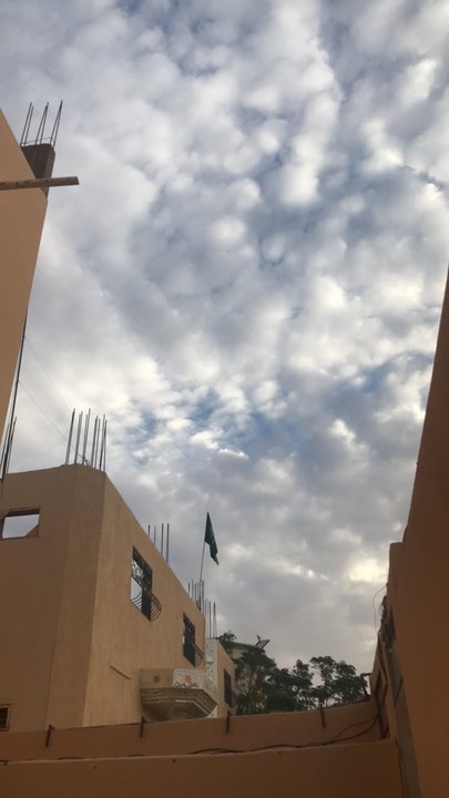 مشاركاتي في أنت الراصد