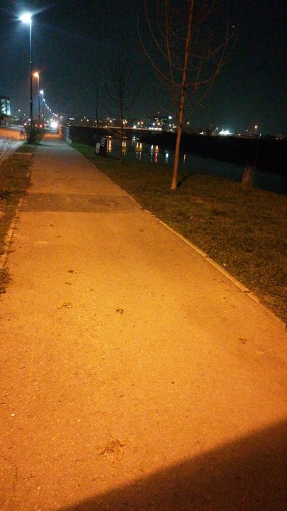 مشاركاتي في أنت الراصد