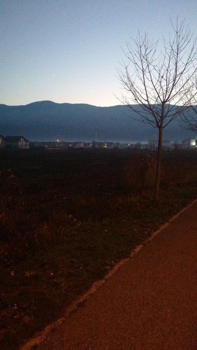 مشاركاتي في أنت الراصد