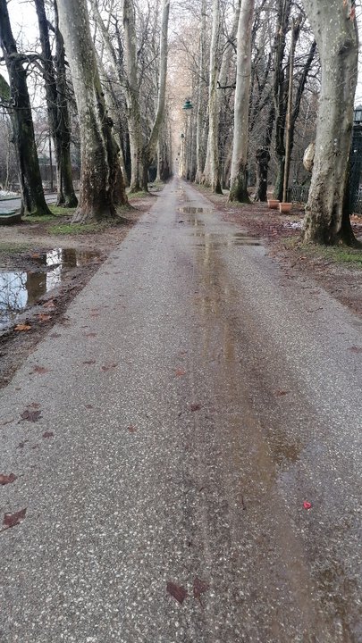 مشاركاتي في أنت الراصد