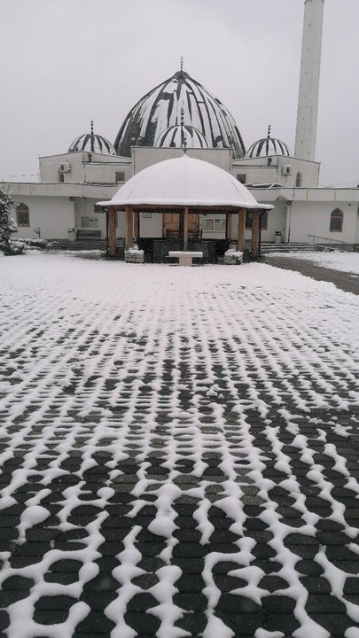 مشاركاتي في أنت الراصد