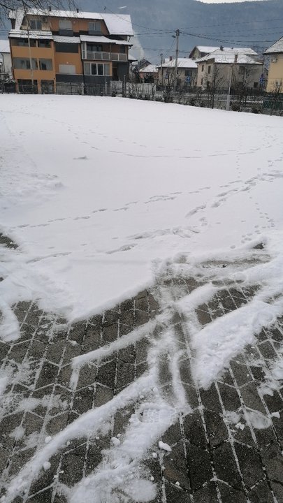 مشاركاتي في أنت الراصد