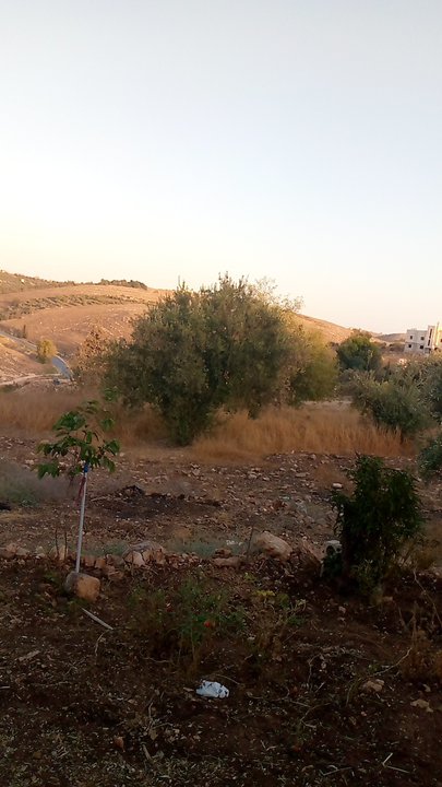 Mes publications Crowdsourcing