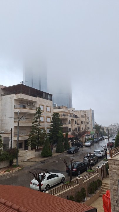 مشاركاتي في أنت الراصد