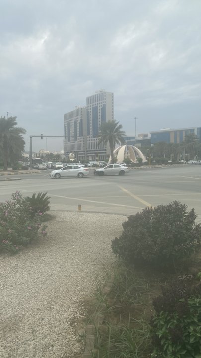 مشاركاتي في أنت الراصد