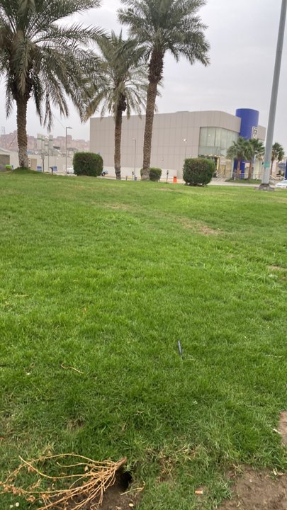 مشاركاتي في أنت الراصد