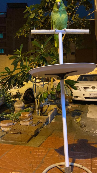 مشاركاتي في أنت الراصد